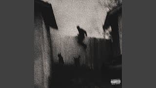 SHYNE